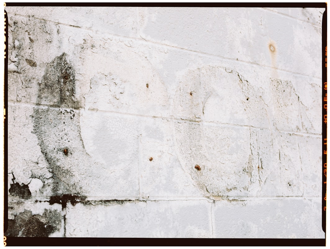 Water Extraction service in St. Louis Park, MN