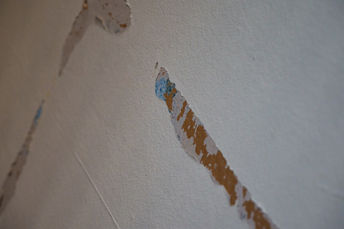 Mold Remediation service in St. Louis Park, MN